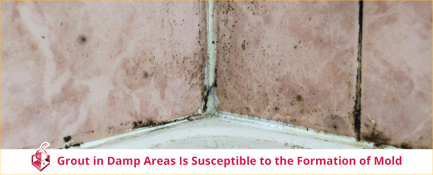 Grout in Damp Areas Is Susceptible to the Formation of Mold