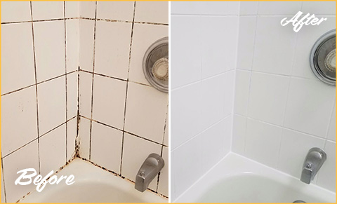 https://www.sirgroutdallasfortworth.com/images/p/g/1/tile-grout-cleaners-moldy-bathtub-480.jpg