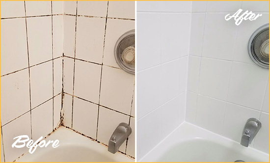 Before and After Picture of a North Richland Hills Shower Tile and Grout Cleaned to Eliminate Mold