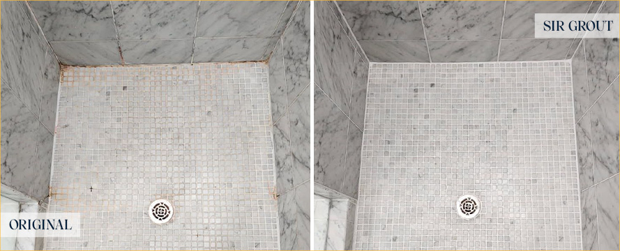 Shower Before and After an Exceptional Tile Cleaning in Dallas, TX