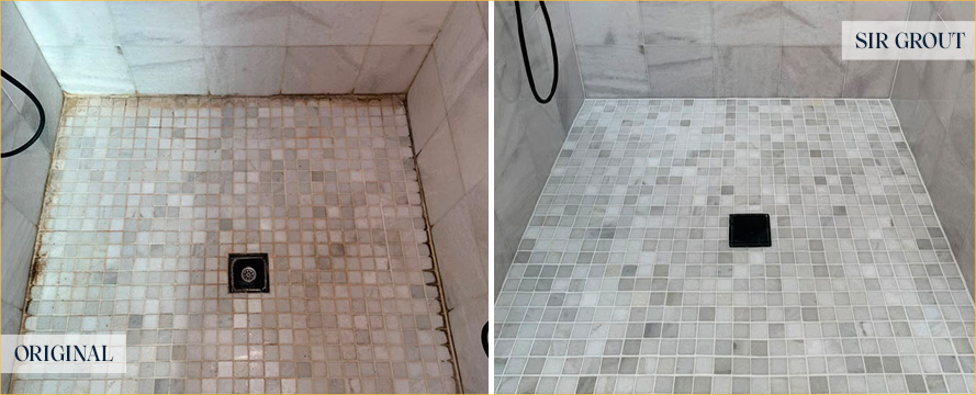 Shower Before and After a Superb Tile Cleaning in Dallas, TX