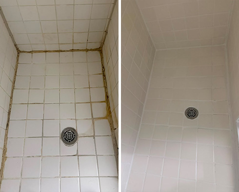 Shower Restored by Our Tile and Grout Cleaners in Dallas, TX