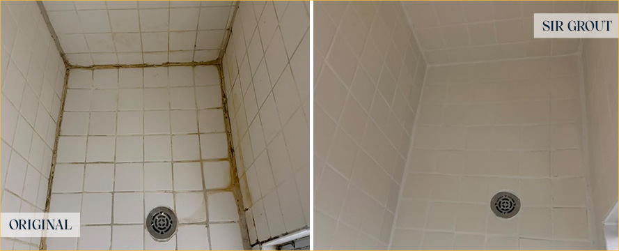 Shower Restored by Our Expert Tile and Grout Cleaners in Dallas, TX