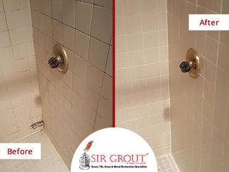 Before and After Picture of a Grout Cleaning Service in Fort Worth, Texas