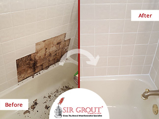 Before and After Picture of a Bathroom's Moldy Tile in Dallas, Texas